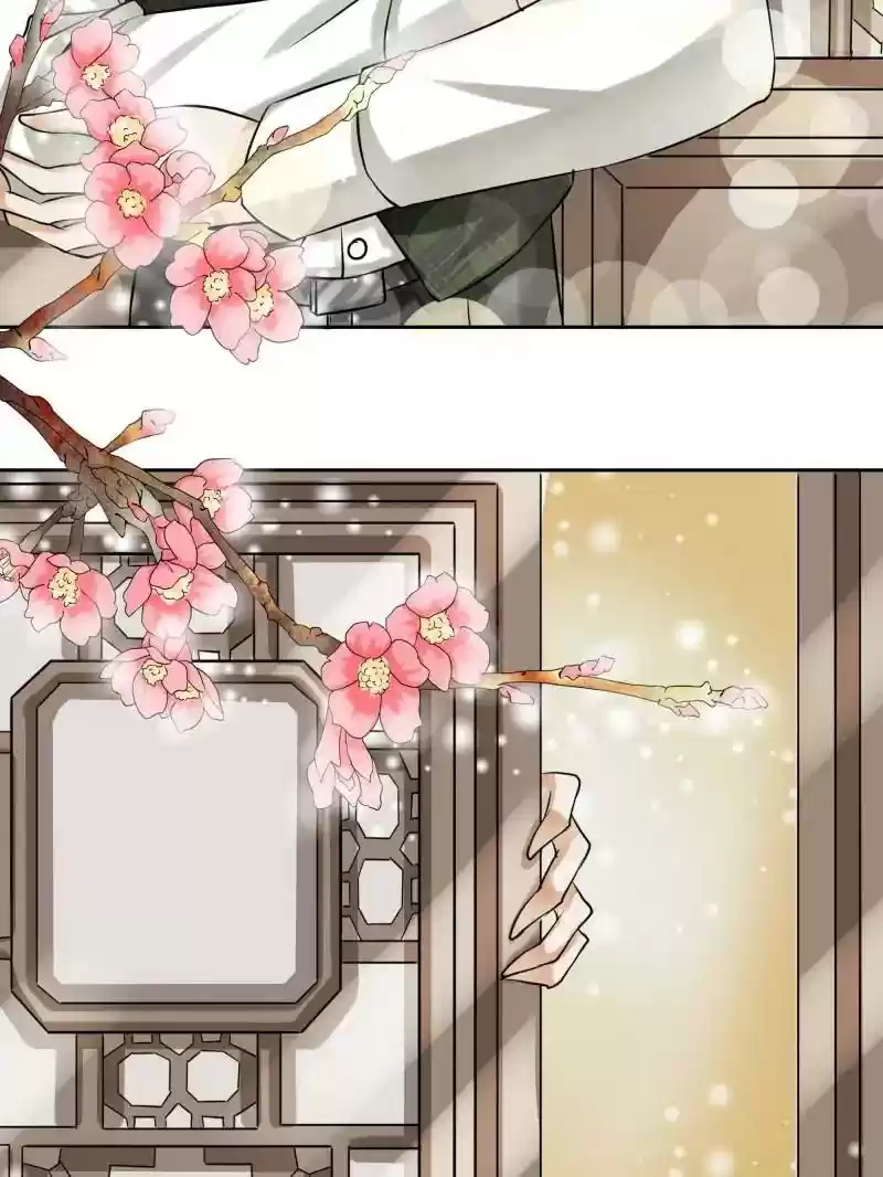 Warlord Husband: Shenshen is Gonna be the Winner Chapter 21