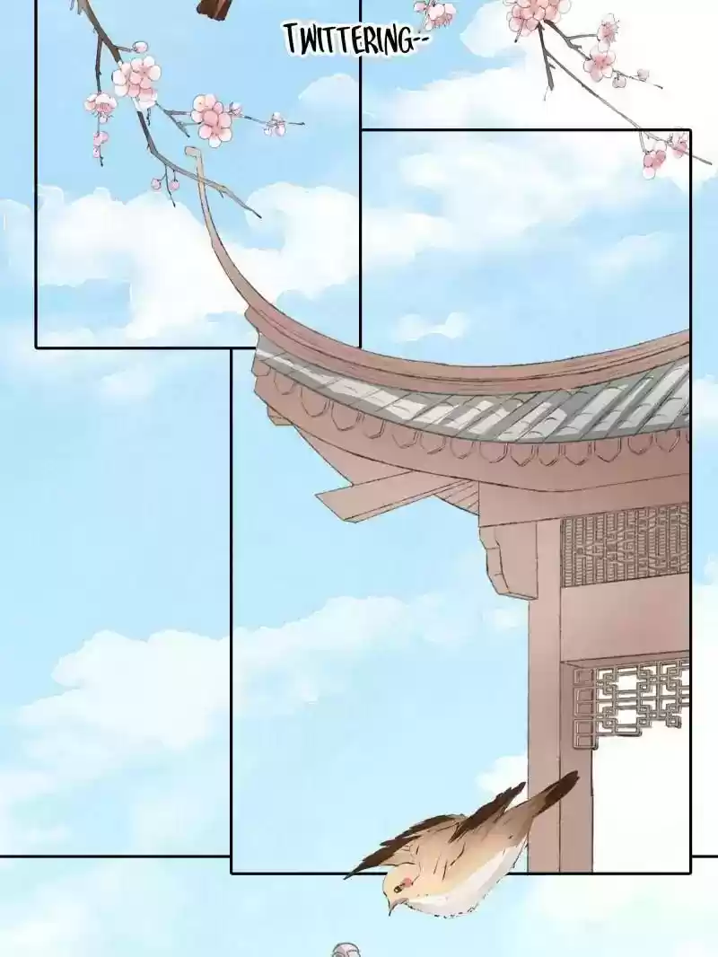 Warlord Husband: Shenshen is Gonna be the Winner Chapter 26