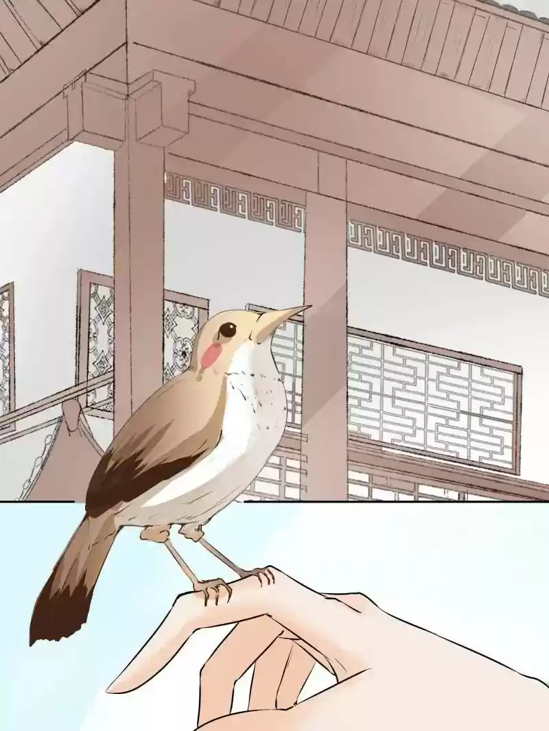 Warlord Husband: Shenshen is Gonna be the Winner Chapter 26