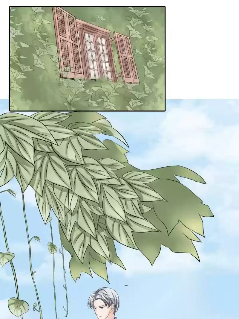 Warlord Husband: Shenshen is Gonna be the Winner Chapter 32