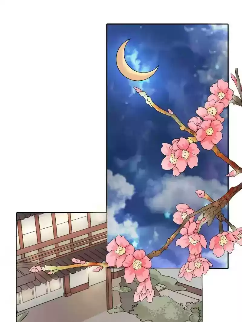 Warlord Husband: Shenshen is Gonna be the Winner Chapter 32