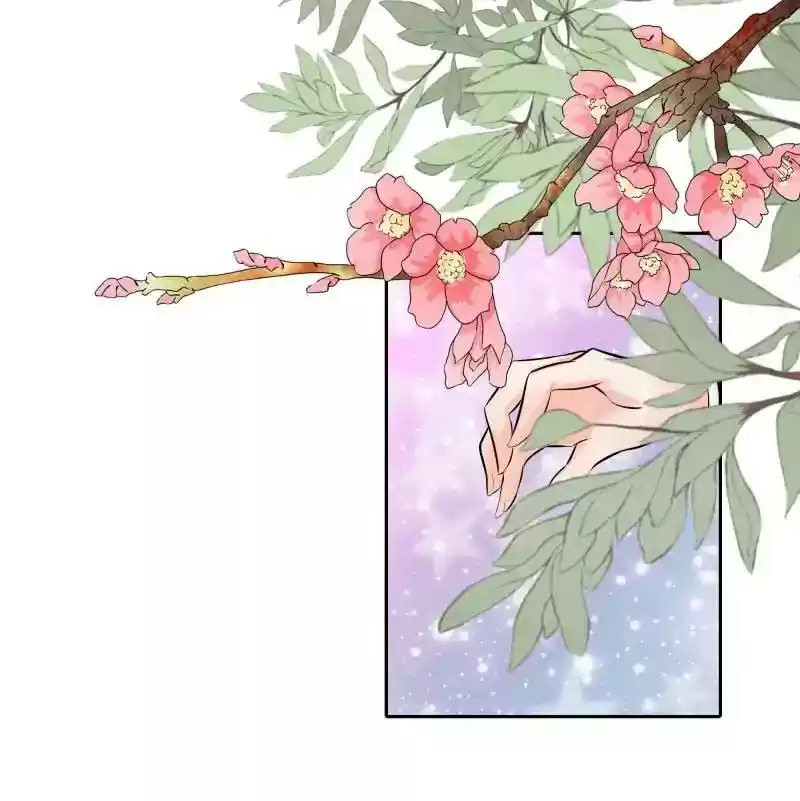 Warlord Husband: Shenshen is Gonna be the Winner Chapter 32