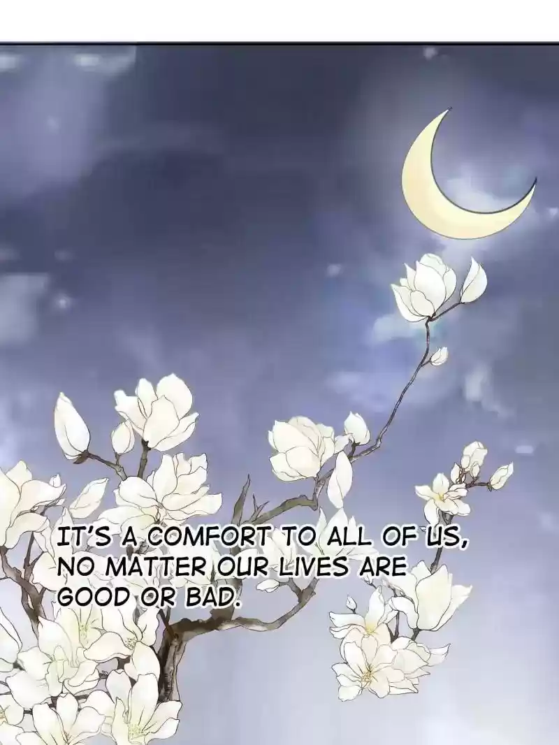 Warlord Husband: Shenshen is Gonna be the Winner Chapter 35