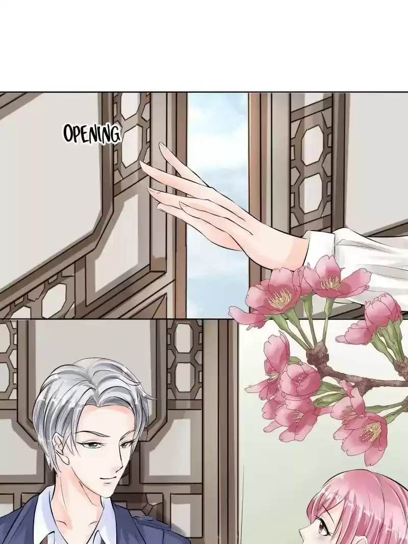 Warlord Husband: Shenshen is Gonna be the Winner Chapter 36