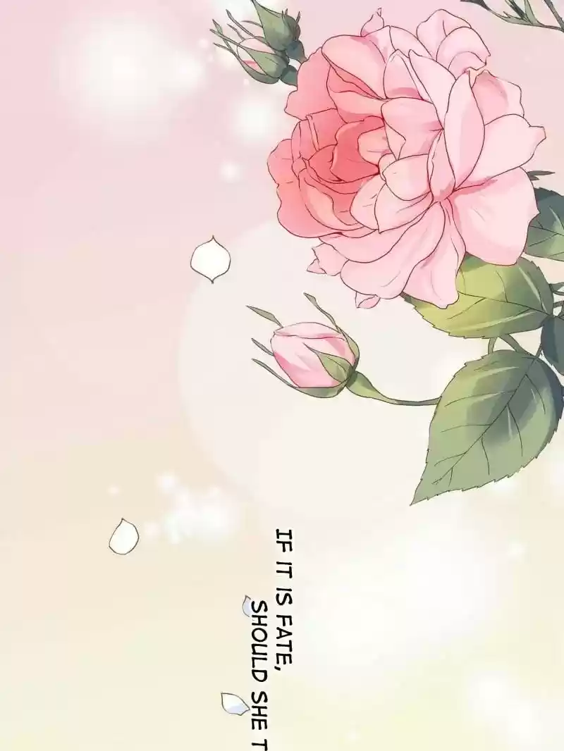 Warlord Husband: Shenshen is Gonna be the Winner Chapter 40