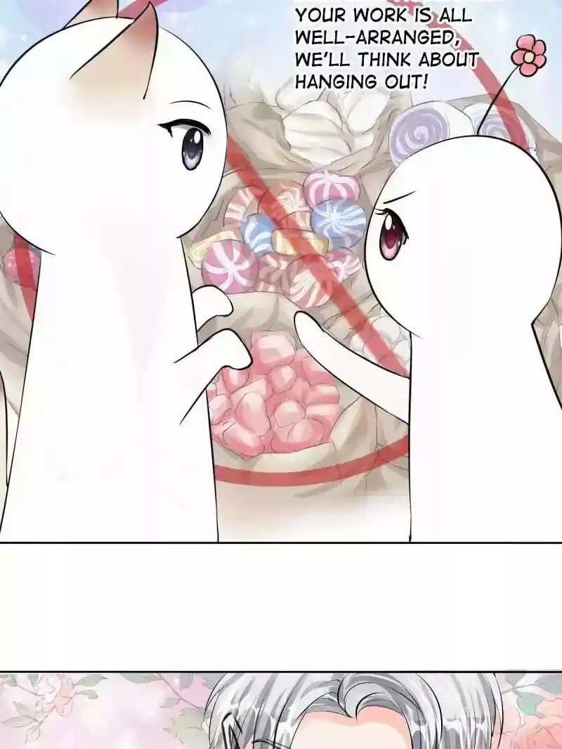 Warlord Husband: Shenshen is Gonna be the Winner Chapter 41