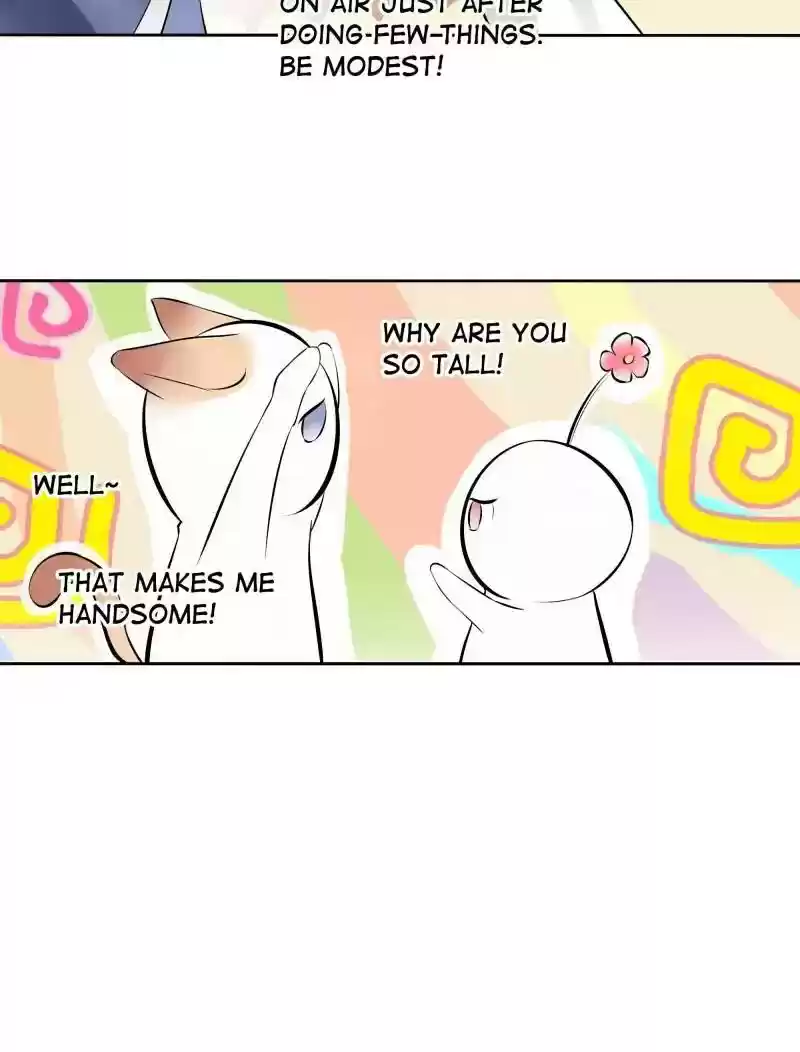 Warlord Husband: Shenshen is Gonna be the Winner Chapter 42