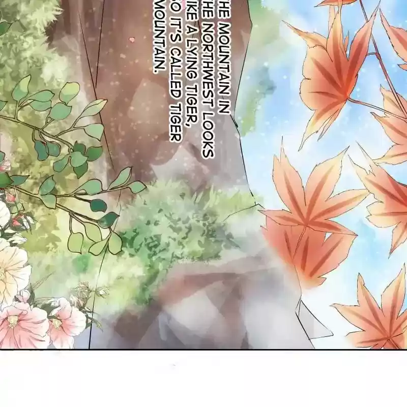 Warlord Husband: Shenshen is Gonna be the Winner Chapter 42