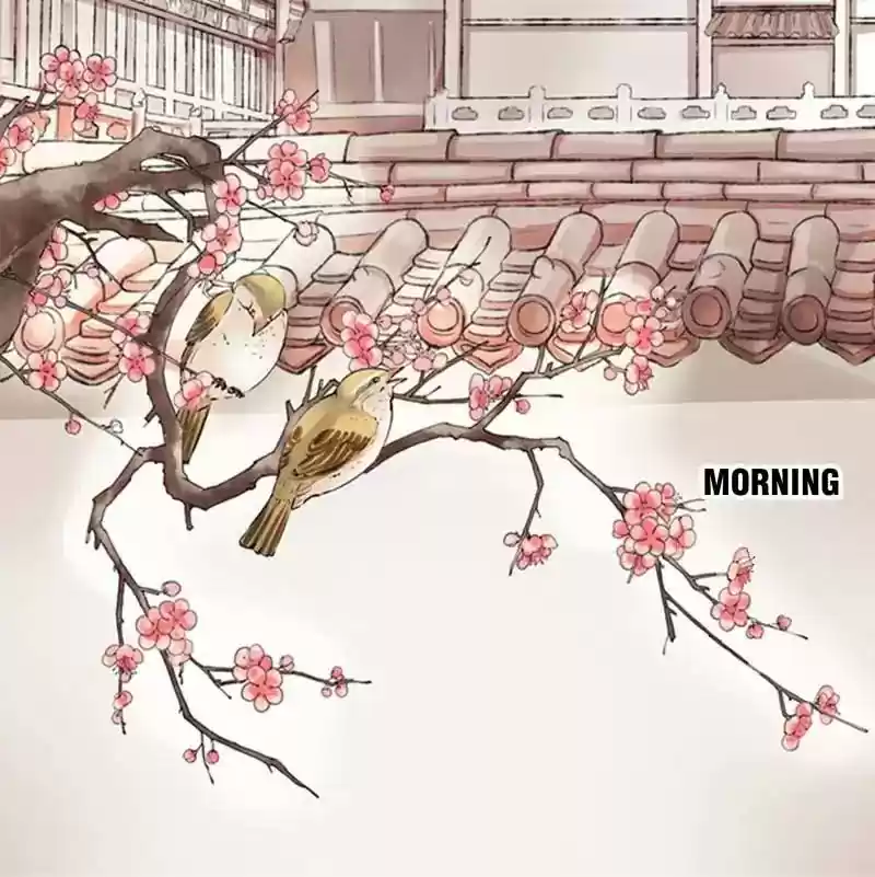 Warlord Husband: Shenshen is Gonna be the Winner Chapter 44