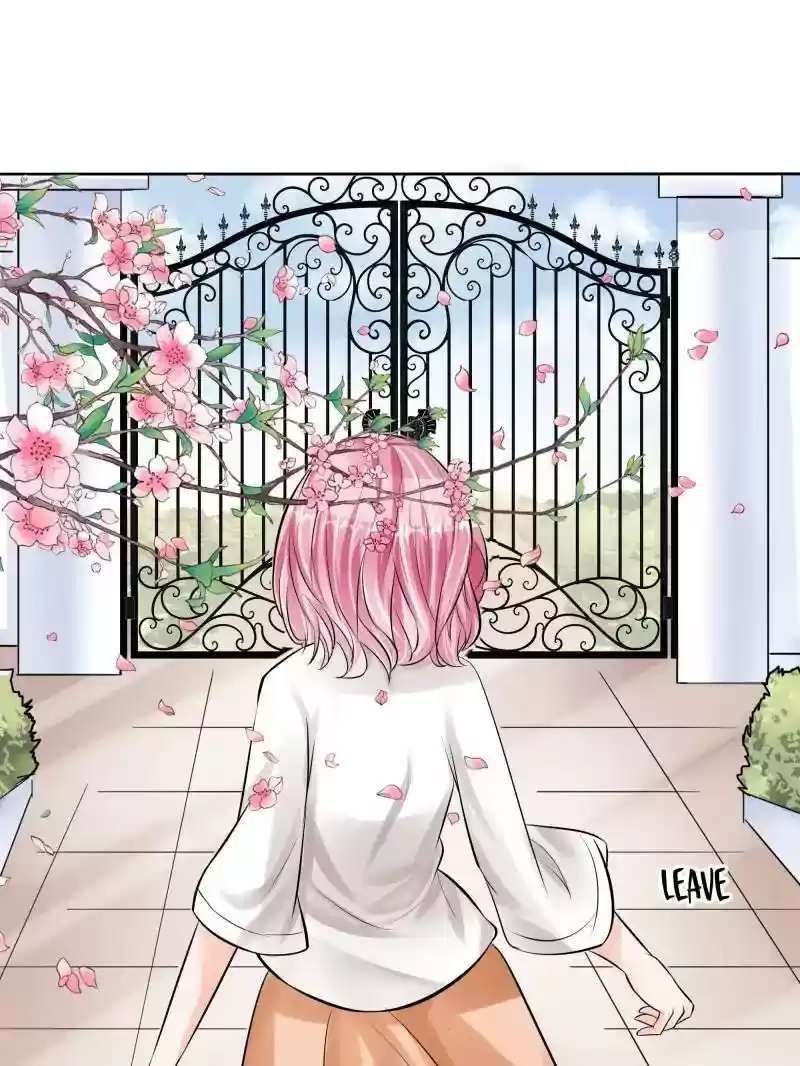 Warlord Husband: Shenshen is Gonna be the Winner Chapter 49