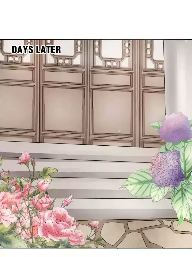 Warlord Husband: Shenshen is Gonna be the Winner Chapter 50