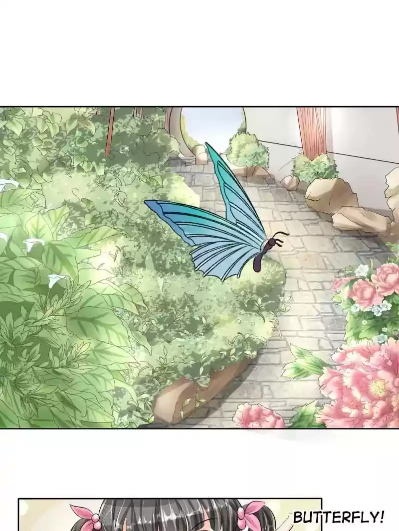 Warlord Husband: Shenshen is Gonna be the Winner Chapter 51