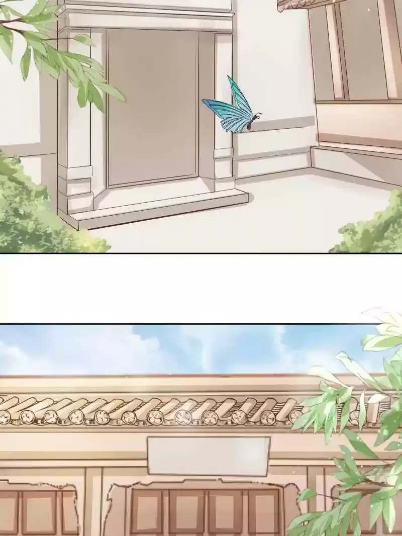 Warlord Husband: Shenshen is Gonna be the Winner Chapter 51