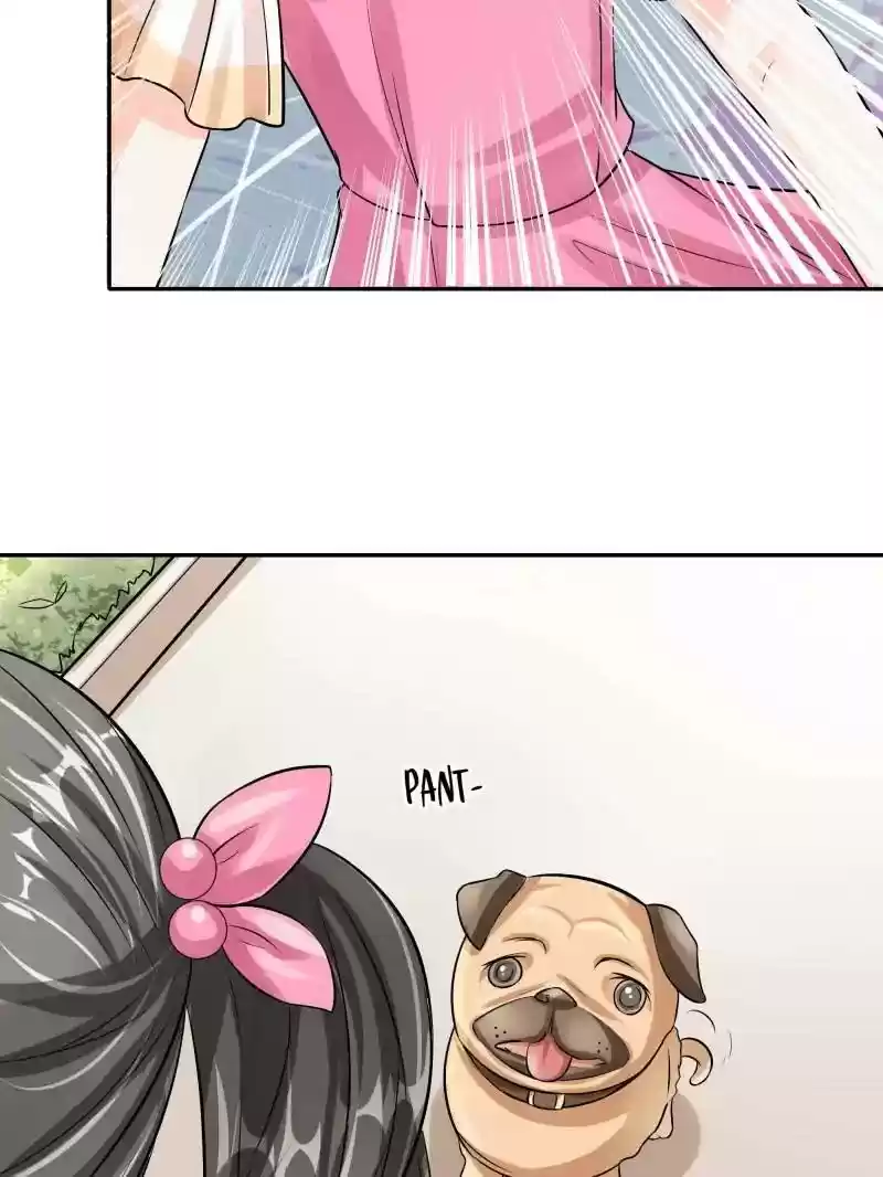 Warlord Husband: Shenshen is Gonna be the Winner Chapter 52