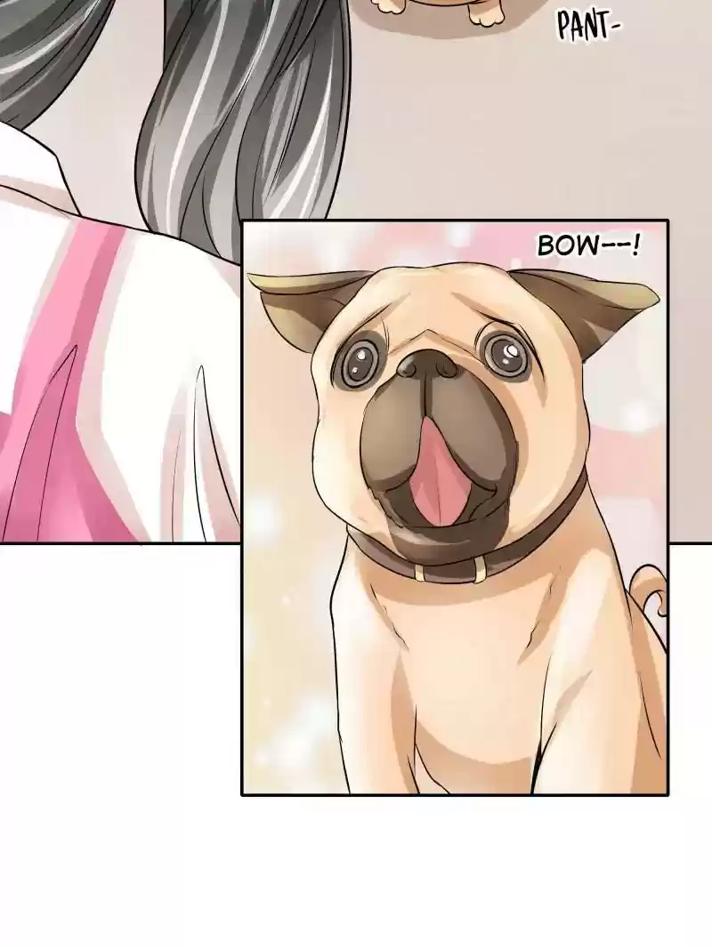 Warlord Husband: Shenshen is Gonna be the Winner Chapter 52