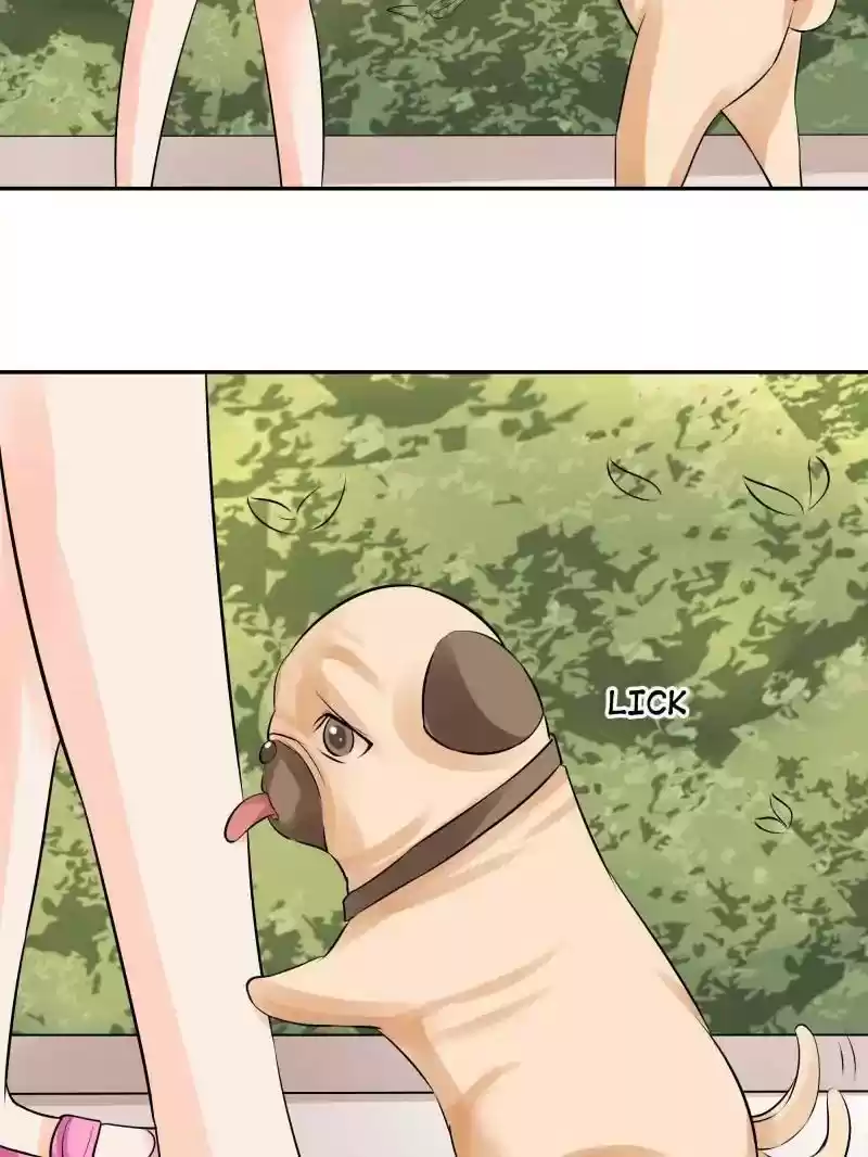 Warlord Husband: Shenshen is Gonna be the Winner Chapter 52