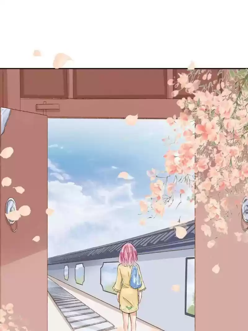 Warlord Husband: Shenshen is Gonna be the Winner Chapter 62