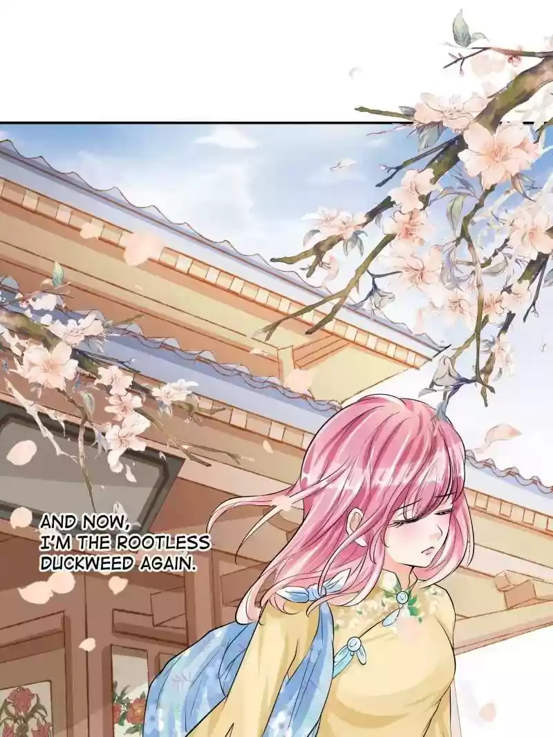 Warlord Husband: Shenshen is Gonna be the Winner Chapter 62