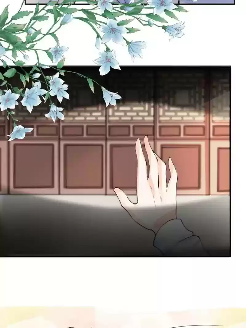 Warlord Husband: Shenshen is Gonna be the Winner Chapter 65