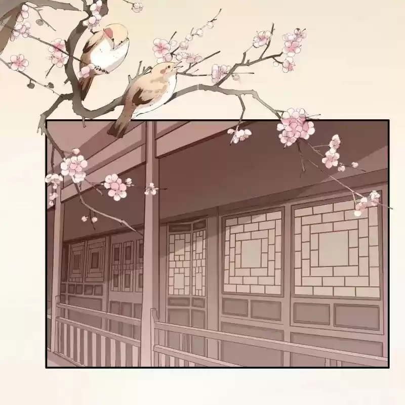 Warlord Husband: Shenshen is Gonna be the Winner Chapter 65