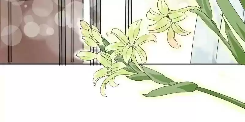 Warlord Husband: Shenshen is Gonna be the Winner Chapter 7