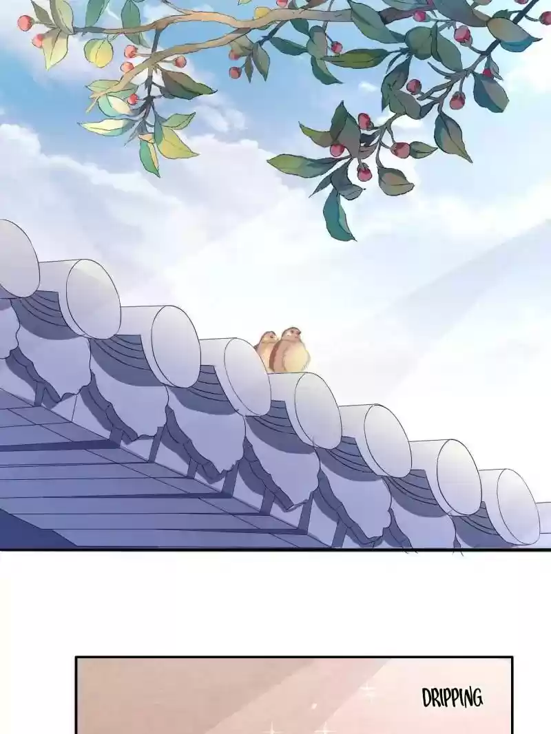 Warlord Husband: Shenshen is Gonna be the Winner Chapter 70