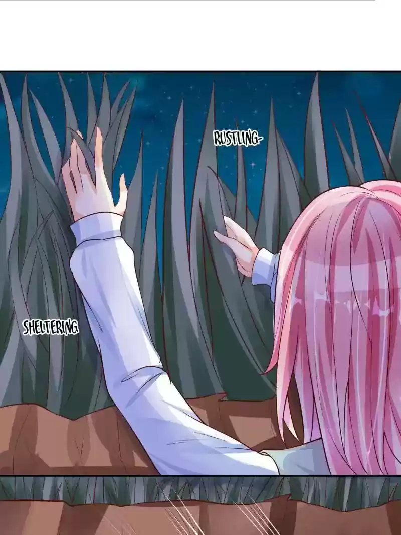 Warlord Husband: Shenshen is Gonna be the Winner Chapter 73