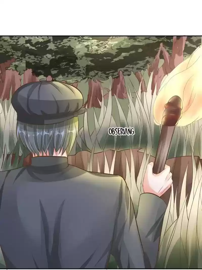 Warlord Husband: Shenshen is Gonna be the Winner Chapter 73