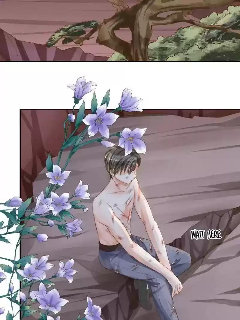 Warlord Husband: Shenshen is Gonna be the Winner Chapter 75