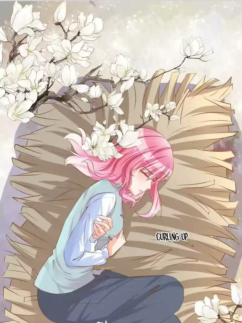 Warlord Husband: Shenshen is Gonna be the Winner Chapter 80