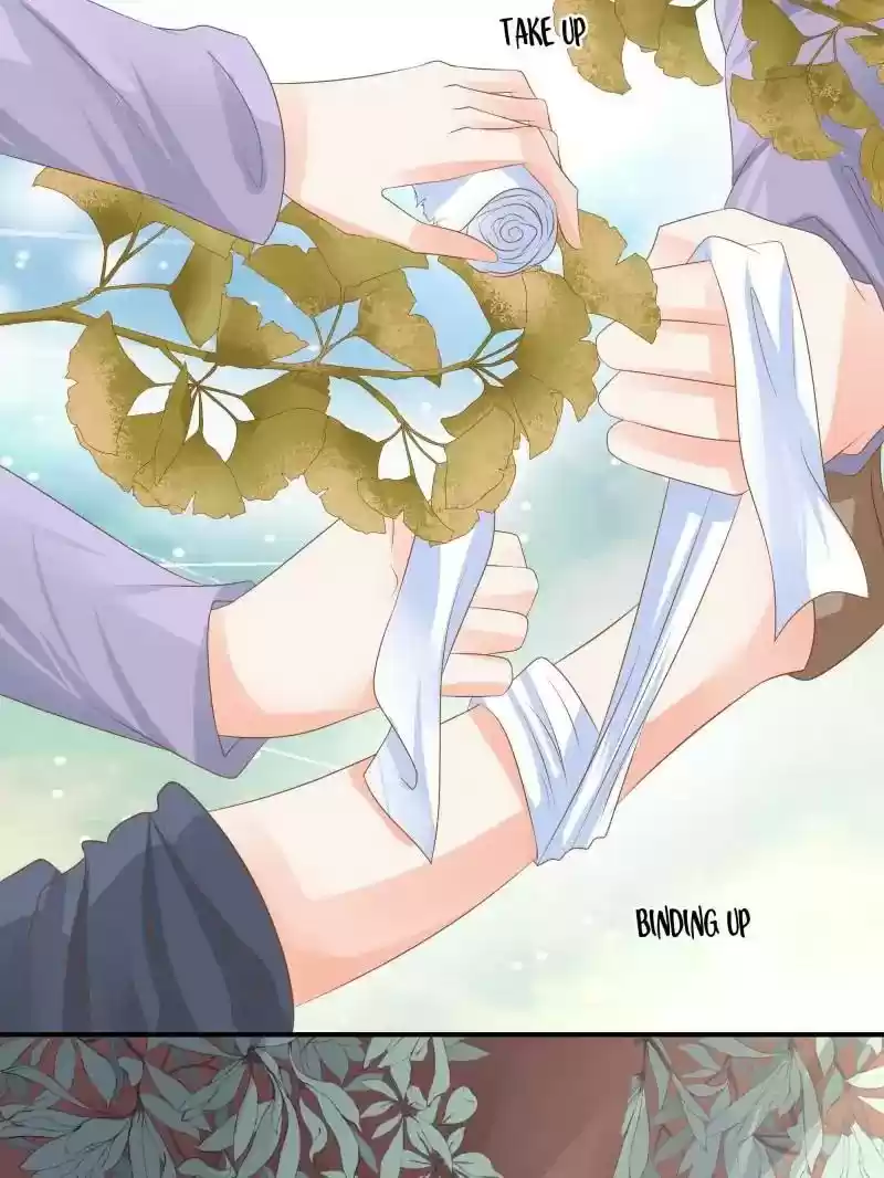 Warlord Husband: Shenshen is Gonna be the Winner Chapter 82