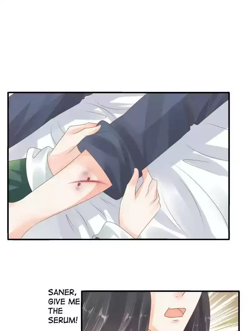 Warlord Husband: Shenshen is Gonna be the Winner Chapter 84