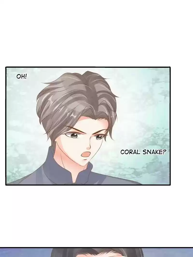 Warlord Husband: Shenshen is Gonna be the Winner Chapter 84