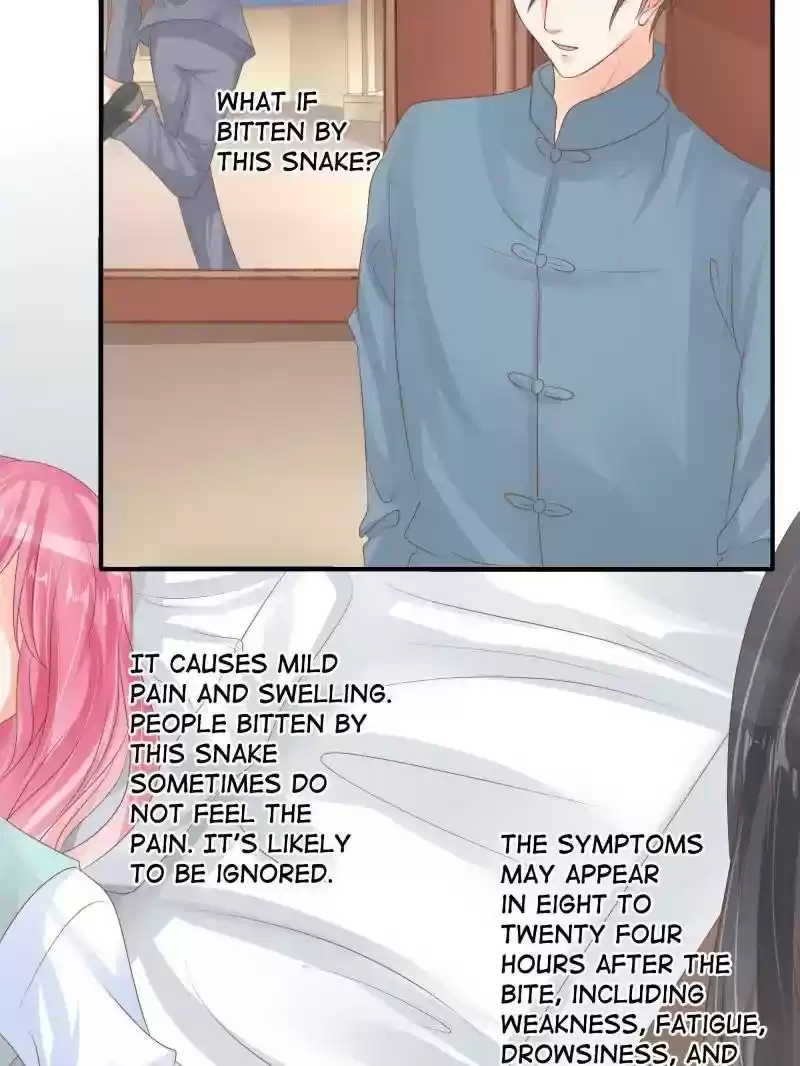 Warlord Husband: Shenshen is Gonna be the Winner Chapter 84