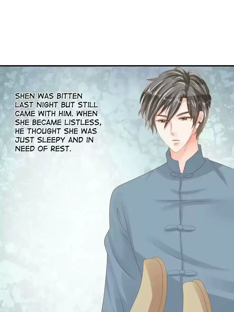 Warlord Husband: Shenshen is Gonna be the Winner Chapter 84