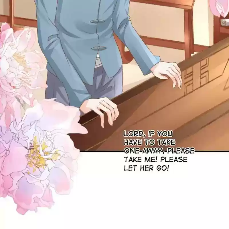 Warlord Husband: Shenshen is Gonna be the Winner Chapter 86