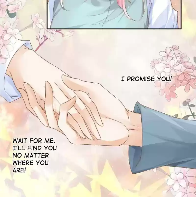 Warlord Husband: Shenshen is Gonna be the Winner Chapter 87