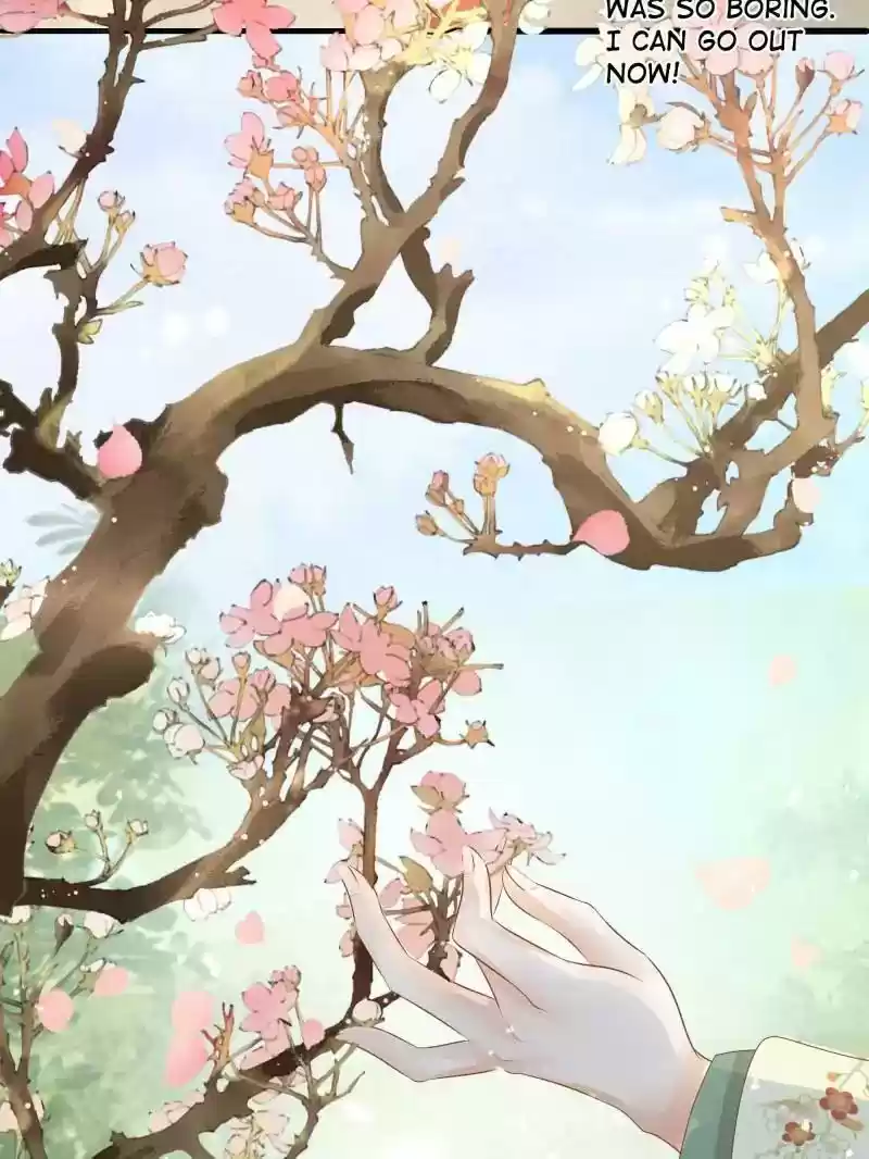 Warlord Husband: Shenshen is Gonna be the Winner Chapter 88