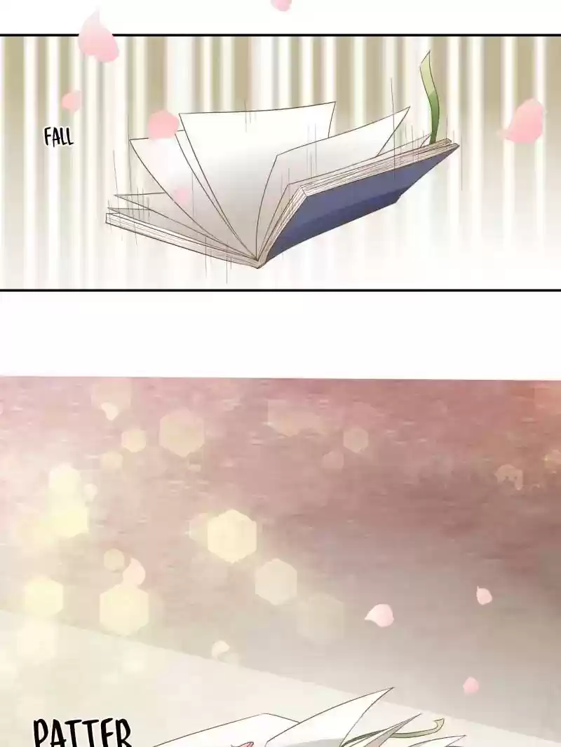 Warlord Husband: Shenshen is Gonna be the Winner Chapter 88