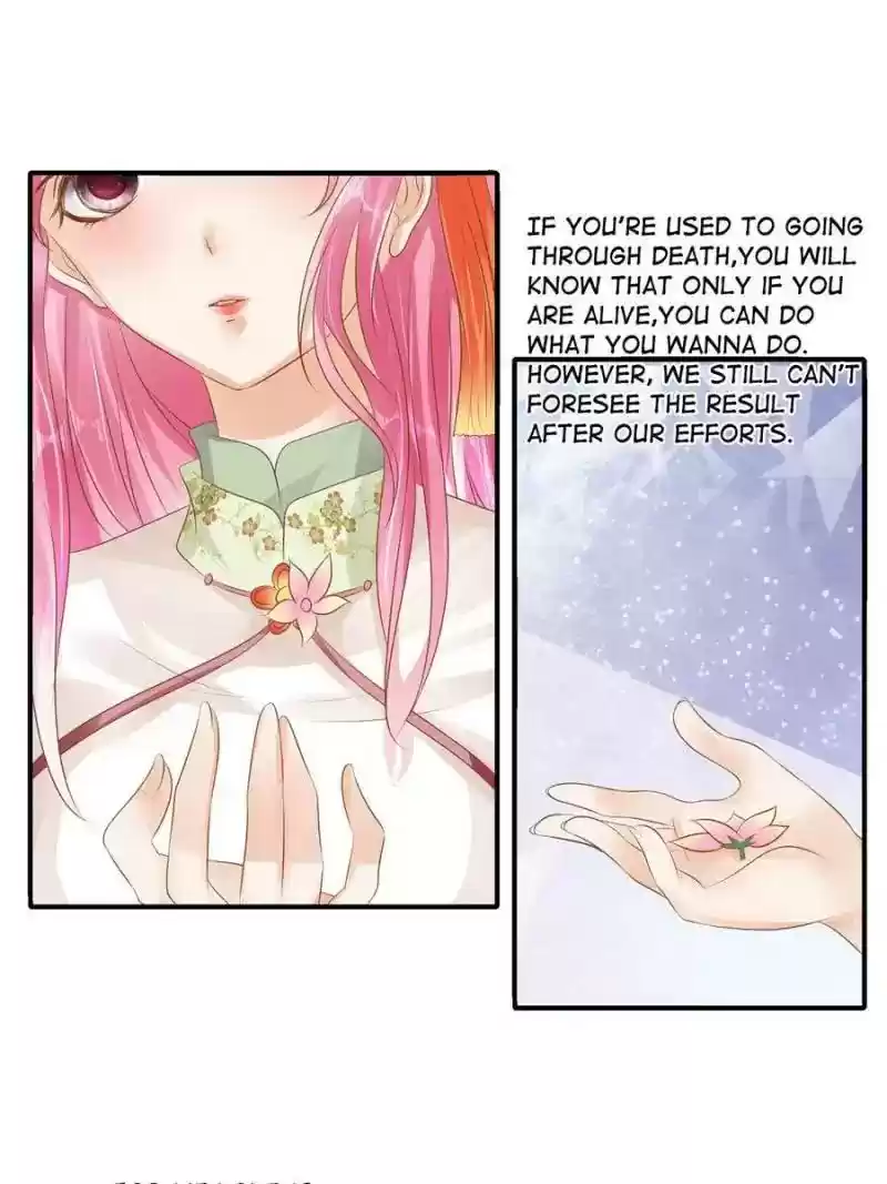 Warlord Husband: Shenshen is Gonna be the Winner Chapter 91