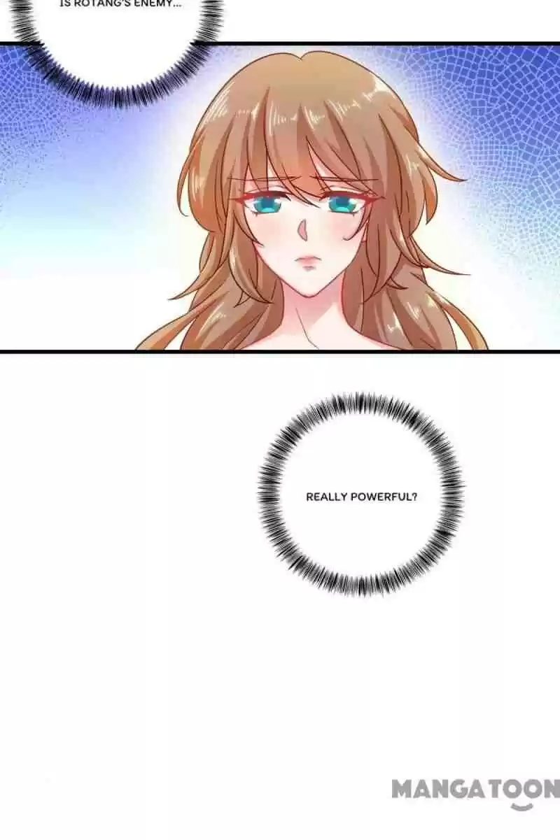 Warm Wedding Chapter 343