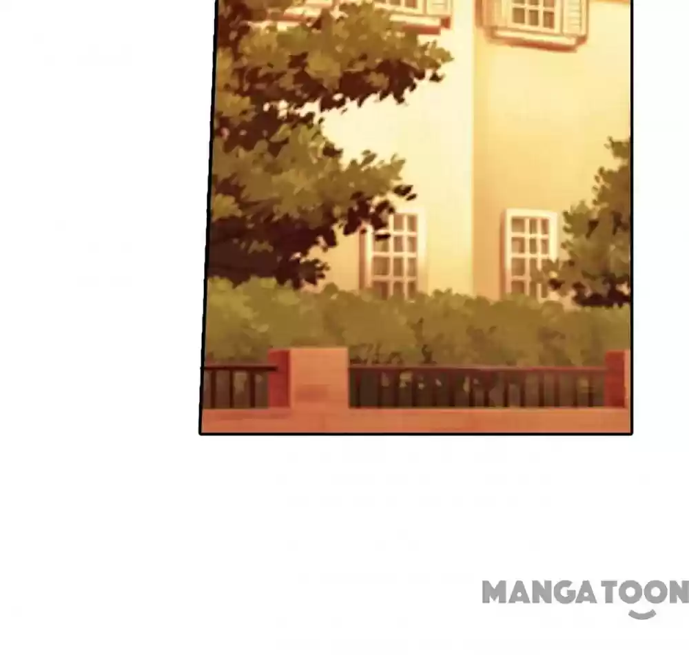 Warm Wedding Chapter 379