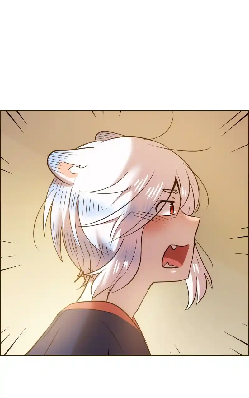 Watermelon Chapter 135