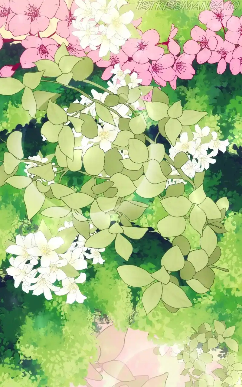 Watermelon Chapter 156