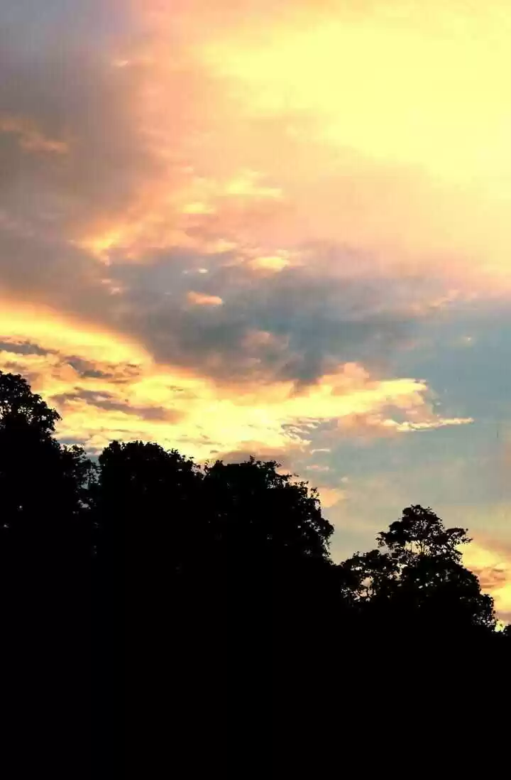 Way To Heaven Chapter 20