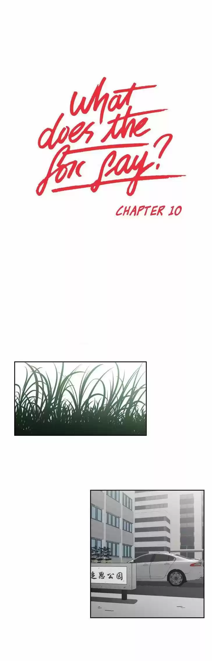 What Does The Fox Say? 10