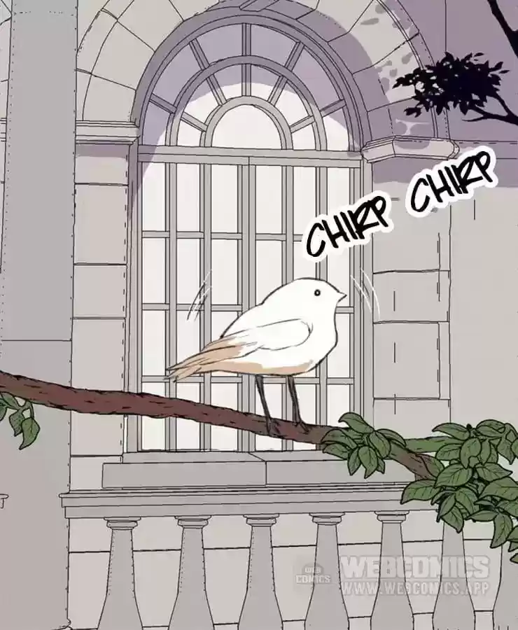 What Should I Do If I Am Tempted? Chapter 84