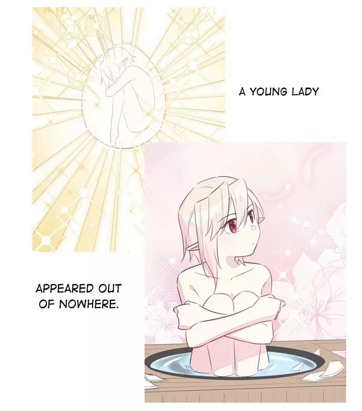 What Should I Do If I've Signed a Marriage Contract with the Elven Princess 0.5 Preview