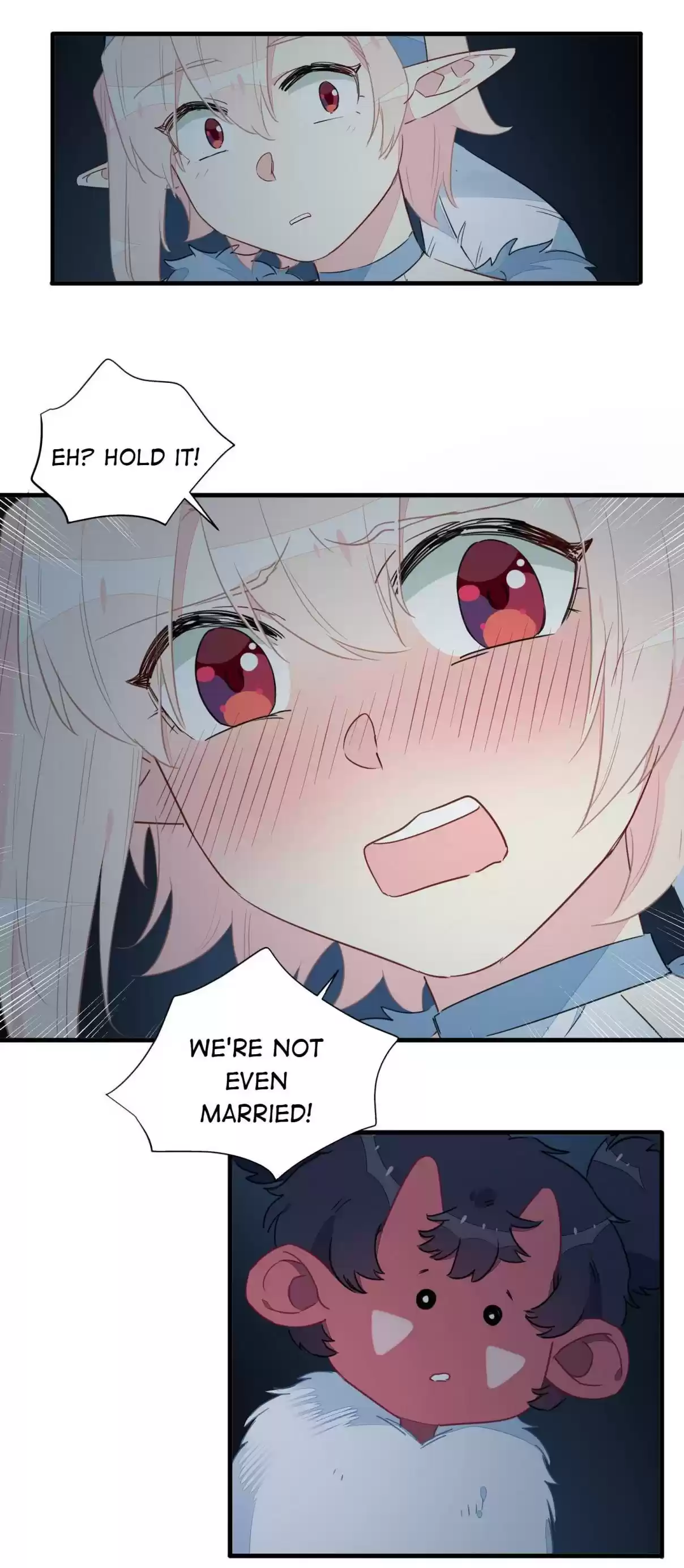 What Should I Do If I've Signed a Marriage Contract with the Elven Princess 28 She’s Not Nan Yue. Who Is She?