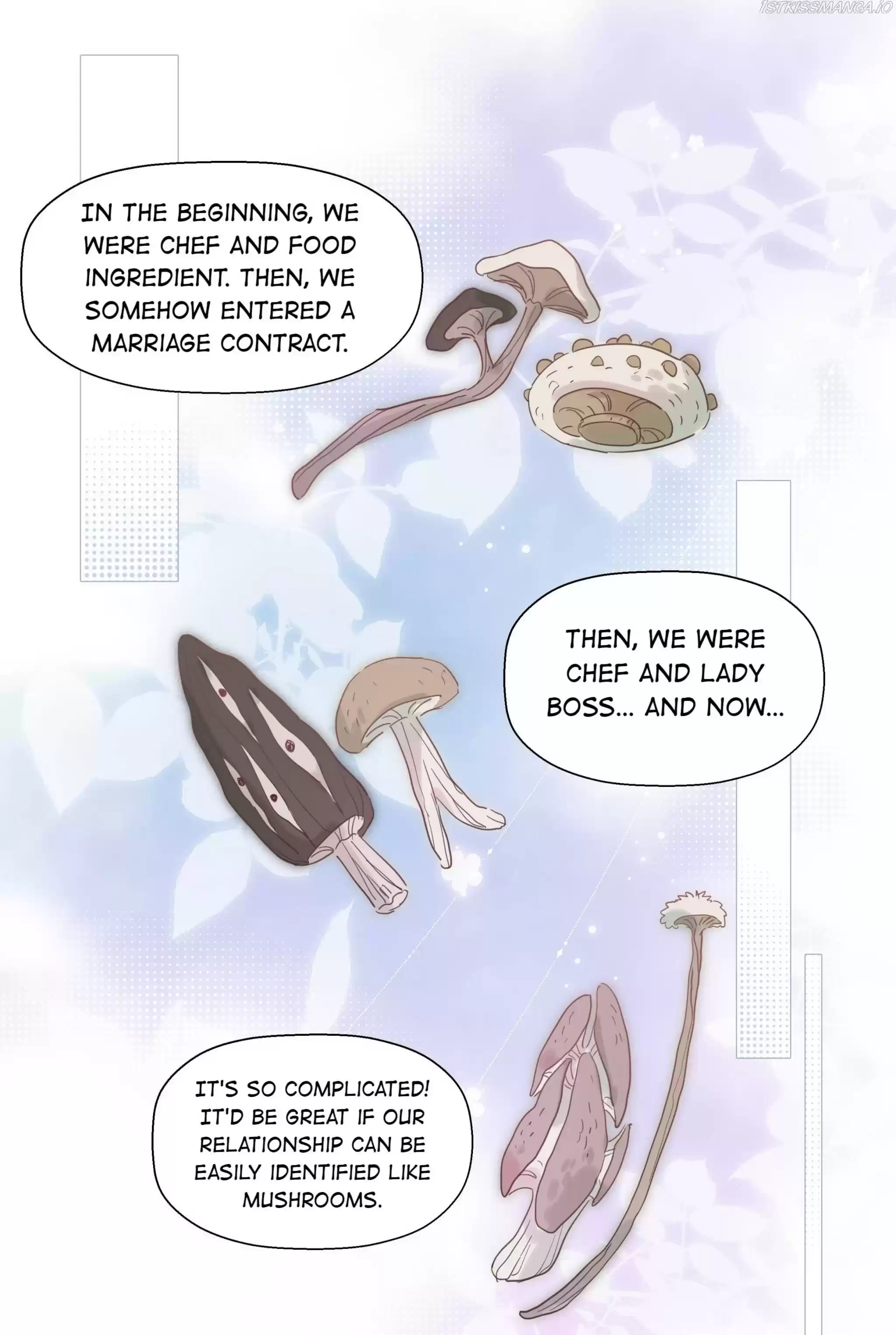 What Should I Do If I’Ve Signed A Marriage Contract With The Elven Princess Chapter 66